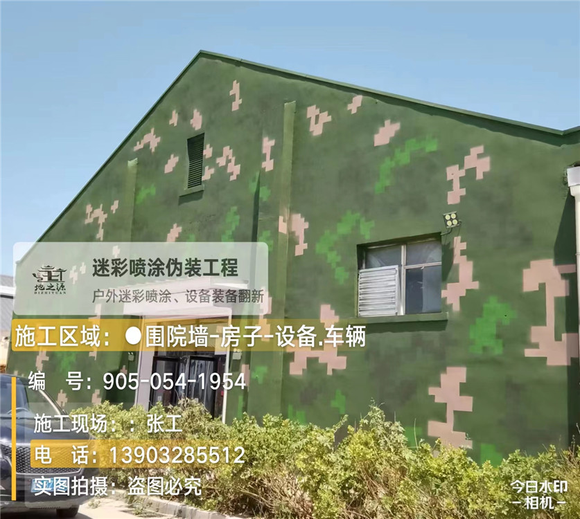 淮安外墙数码迷彩漆施工报价清单（100㎡标准墙面测算）